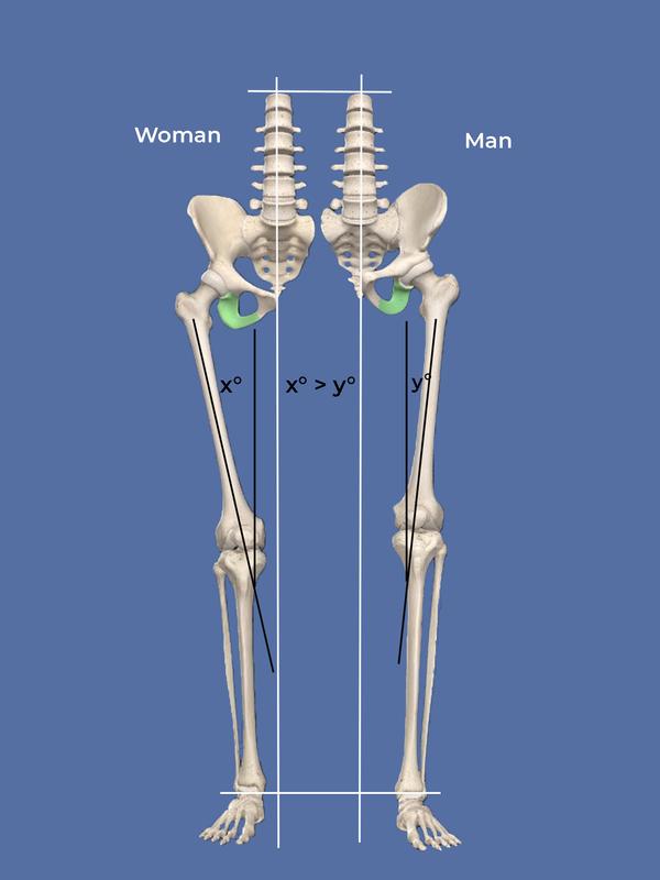 Thigh bone angle