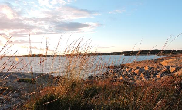 Westküste Schweden