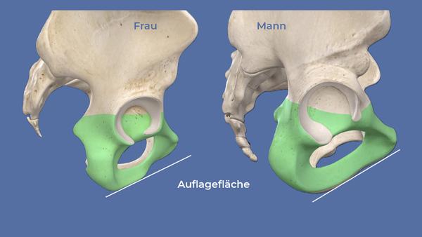 Beckenform bei Frau und Mann