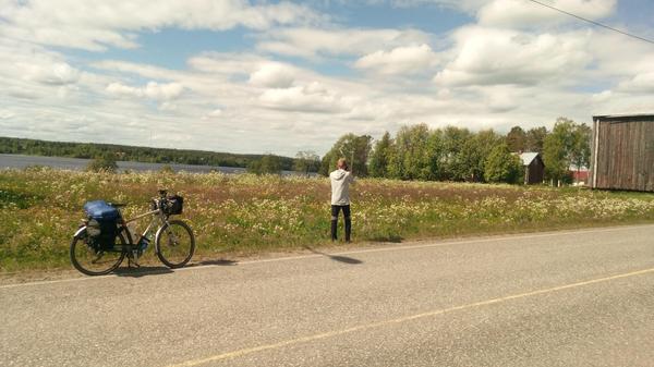 Near Kemi (Finland) at the northernmost point of EV10 in June