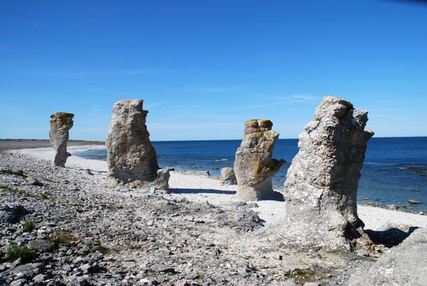 Rauks