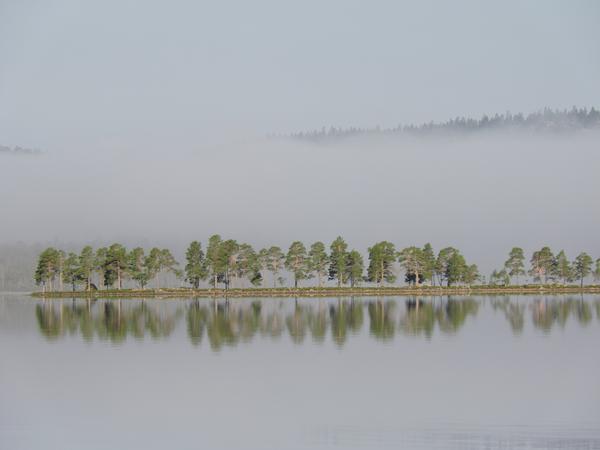 See mit Nebel